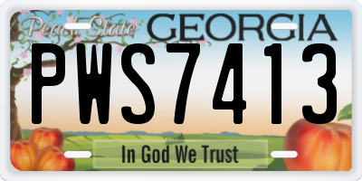 GA license plate PWS7413