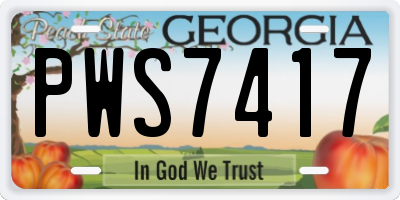 GA license plate PWS7417