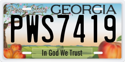 GA license plate PWS7419
