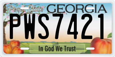 GA license plate PWS7421