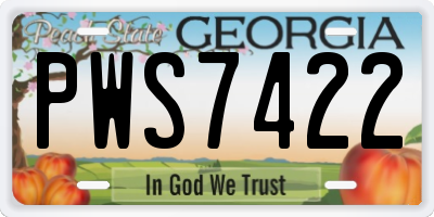 GA license plate PWS7422