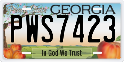 GA license plate PWS7423