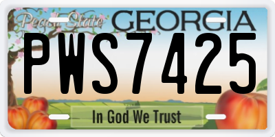 GA license plate PWS7425