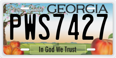 GA license plate PWS7427
