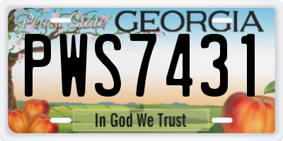 GA license plate PWS7431