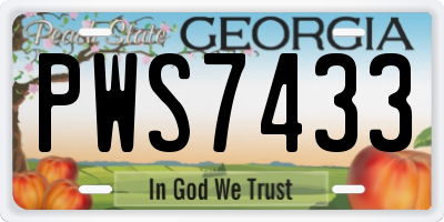 GA license plate PWS7433