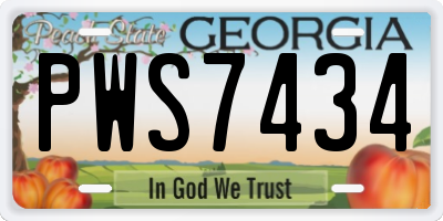 GA license plate PWS7434