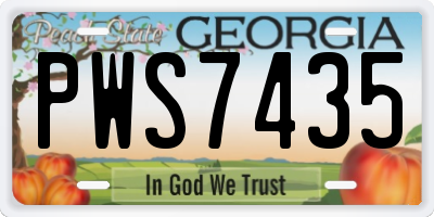 GA license plate PWS7435