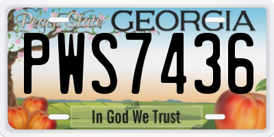 GA license plate PWS7436