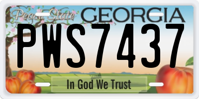 GA license plate PWS7437