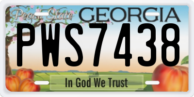 GA license plate PWS7438