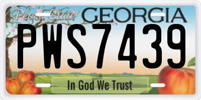 GA license plate PWS7439