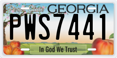 GA license plate PWS7441