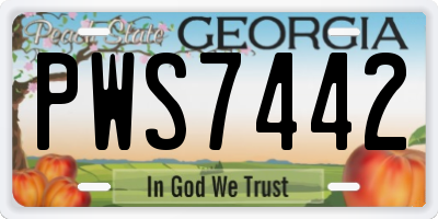 GA license plate PWS7442