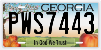GA license plate PWS7443