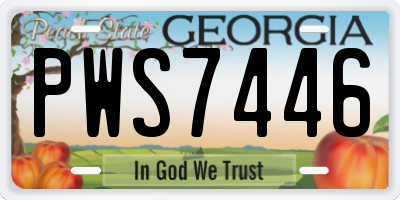 GA license plate PWS7446