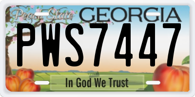 GA license plate PWS7447