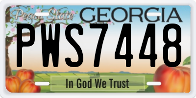 GA license plate PWS7448
