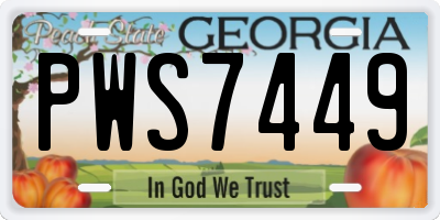 GA license plate PWS7449