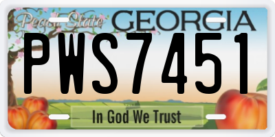 GA license plate PWS7451