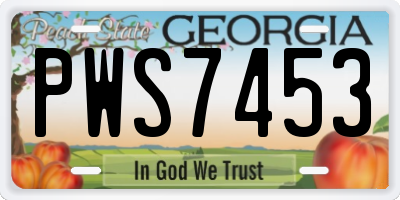 GA license plate PWS7453