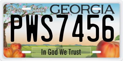 GA license plate PWS7456