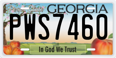 GA license plate PWS7460