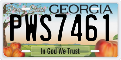 GA license plate PWS7461