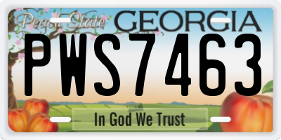 GA license plate PWS7463