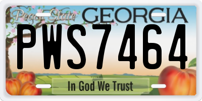 GA license plate PWS7464