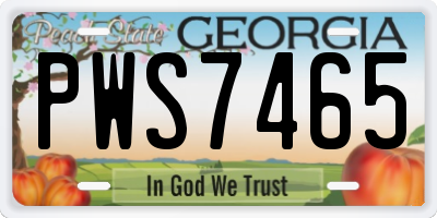 GA license plate PWS7465