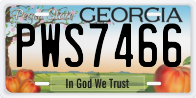 GA license plate PWS7466