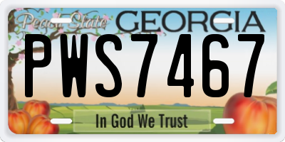 GA license plate PWS7467