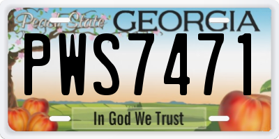 GA license plate PWS7471