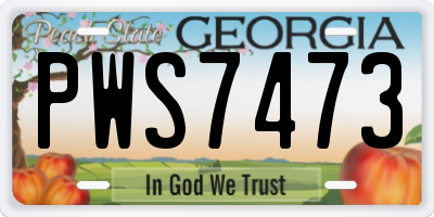 GA license plate PWS7473