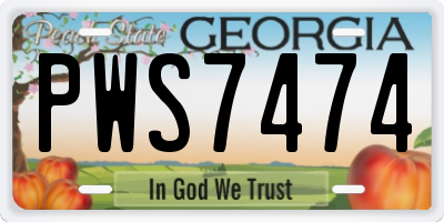 GA license plate PWS7474