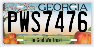 GA license plate PWS7476