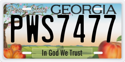 GA license plate PWS7477