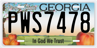 GA license plate PWS7478