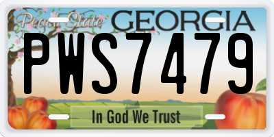 GA license plate PWS7479