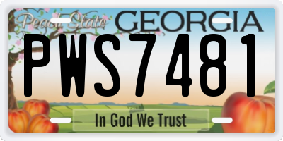 GA license plate PWS7481