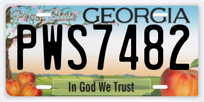 GA license plate PWS7482