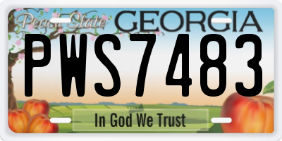 GA license plate PWS7483