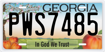 GA license plate PWS7485