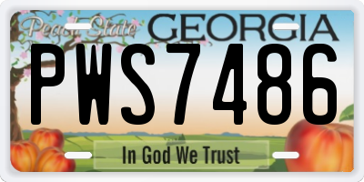 GA license plate PWS7486