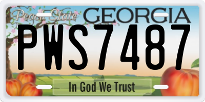GA license plate PWS7487