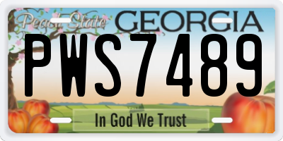 GA license plate PWS7489