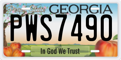 GA license plate PWS7490