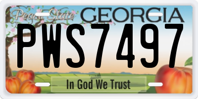 GA license plate PWS7497