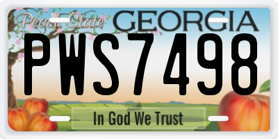 GA license plate PWS7498